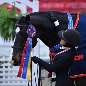 Meet your Posher, Ashley